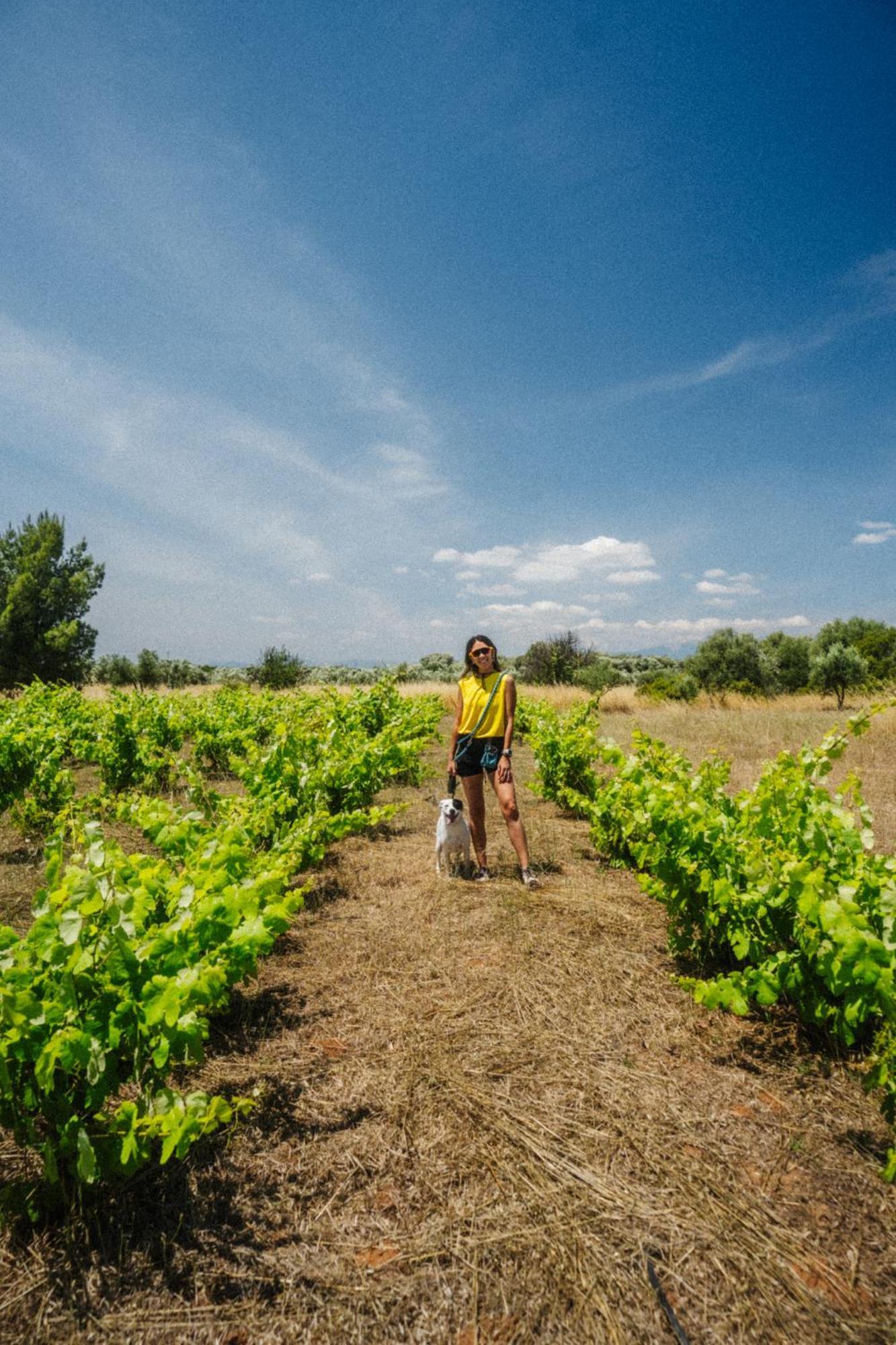Eumelia Organic Agrotourism Farm Goúvai Exterior foto